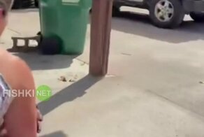 Теплая встреча после разлуки