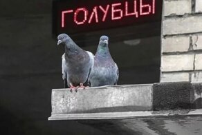 С нашей реальностью точно что-то не то