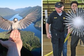 18 крутых фото, сделанные в самый нужный момент