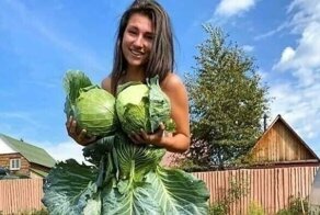 50 фотографий, которые вызывают много недоумения и вопросов