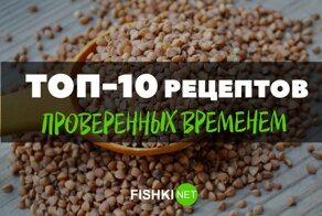 Просто, вкусно, сытно: замечательные рецепты блюд из гречки