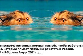 На заметку hh.ru: китаянка так хотела работать в России, что не побоялась вплавь пересечь Амур