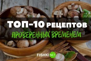 Любителей грибов оценят: вкуснейшие авторские рецепты от пользователей Фишек
