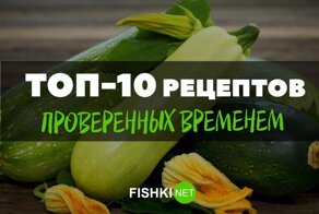 Кулинарные шедевры из кабачков, которые может повторить дома каждый
