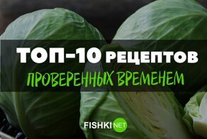 Готовим на Фишках: простые, но очень хорошие рецепты блюд из капусты