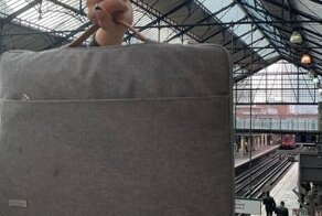 15 изображений, которые могут озадачить даже самые острые умы