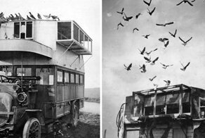 Мобильные голубятни Первой мировой: исторические снимки автобусов, на которых перевозили птиц-почтальонов