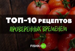 От закуски до полноценного блюда: всеми любимые рецепты из помидоров