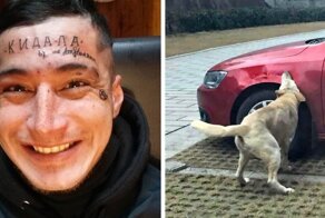 18 фотографий, доказывающих, что месть может быть разной