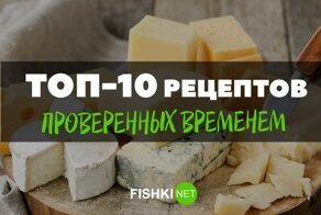Из сыра, с сыром и под сыром: отличные рецепты блюд, которые вам точно понравятся