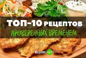 Пальчики оближешь: бомбические рецепты наивкуснейших драников