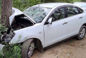 «Не гони, подумай о нас»: в Белоруссии на 4 года посадили лихача, устроившего аварию в лесном массиве