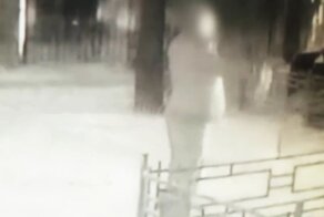 При задержании в Подмосковье покончил с собой трижды судимый скинхед