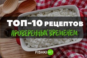 Кулинарные шедевры из творога, от которых близкие будут в восторге