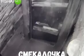 Страх открыляет