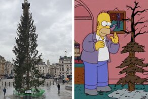 Британцы высмеяли в Твиттере рождественскую елку, подаренную Норвегией