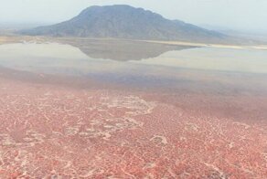 15 раз, когда природа поразила нас снова. А мы думали, что видели уже всё