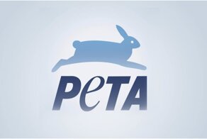 РЕТА запустила "интернет-магазин" с вещами из человеческой кожи