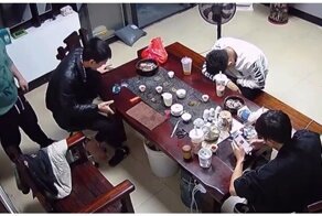 Кошка упала с потолка и напугала мужчин