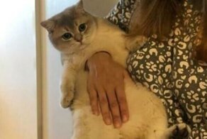 50 фотографий, которые сбивают с толку