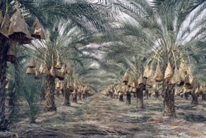 10 стран, которые испытывают проблемы с водой