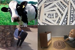 Все деньги мира, доведение до однополой любви и суд над коровами: странные иски со всего мира