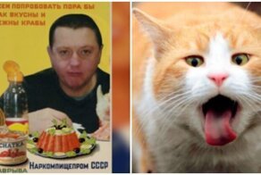 Жрать или не жрать, вот в чем вопрос: из чего готовят любимые всеми крабовые палочки