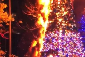 "Ёлочка, гори": бездомный испортил американцам рождественское настроение
