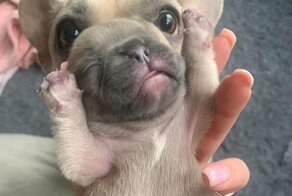 17 снимков, которые могут легко вас обмануть, если не взглянуть дважды