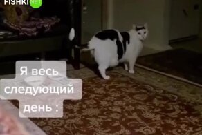 Очень жизненная ситуация