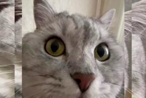 Жизненная ситуация