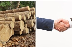 Как в скором будущем русский лес будет использоваться для строительства японских домов?