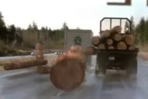 Пункт назначения: в Барнауле легковушка въехала в лесовоз, а водитель чудом остался жив