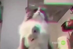 Пятничный дэнс