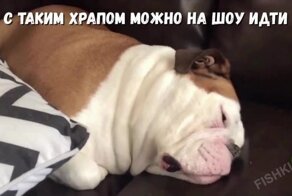 Боевой храп