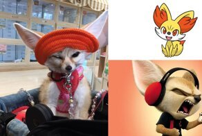 Так кто же ты такой, фенек: ушастый мутант захватывает своей милостью мир