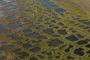 Полигональная тундра, или царство квадратных болот