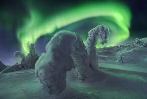 25 лучших снимков полярного сияния за 2021 год