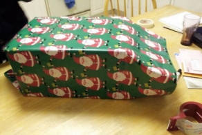 Подшутил над своим братом (6 фото)