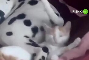 Не стой под стрелой