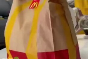 Тяжёлая жизнь кота