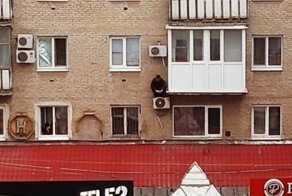 Чёткость бытия зашкалила