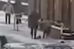 Упавшая с крыши глыба льда покалечила девушку в Петербурге