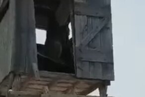 Спрятавшаяся в лабазе рысь удивила мужчину