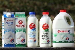 На лугу пасутся Ж: корейский агрохолдинг в своей рекламе сравнил девушек с коровами