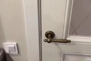 Спалил лисицу