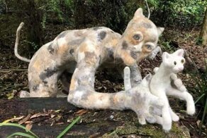 15 неожиданных вещей, которые встретились людям, и они вряд ли смогут это забыть