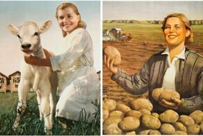 20 плакатов СССР, которые поднимали сельское хозяйство