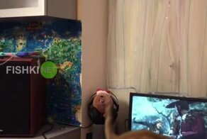 Райская жизнь