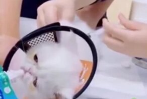 И вкусно и грустно